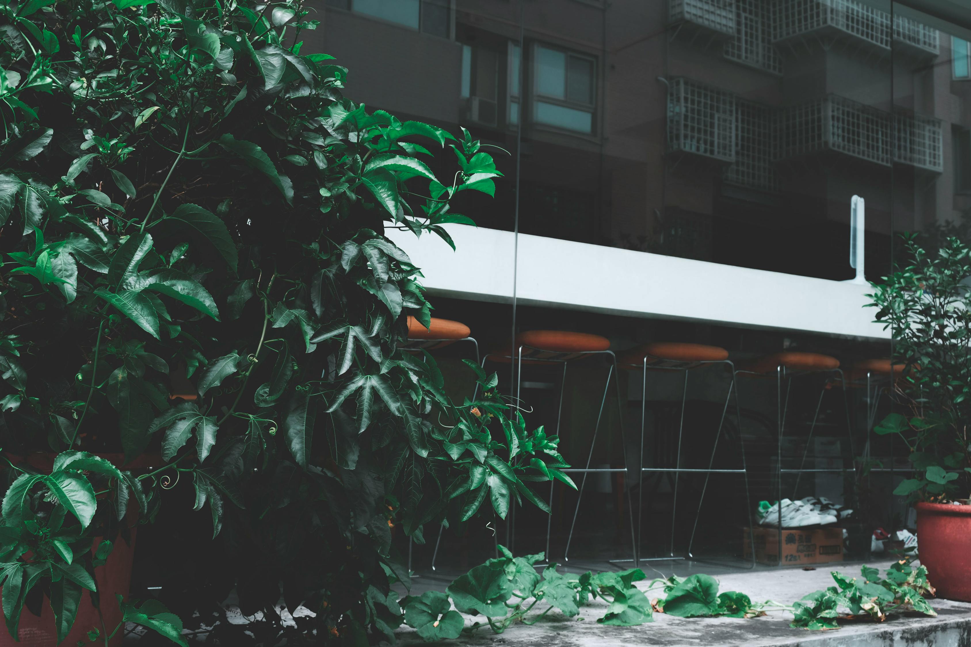 狄村改造進(jìn)展，重塑社區(qū)面貌，打造宜居環(huán)境新篇章