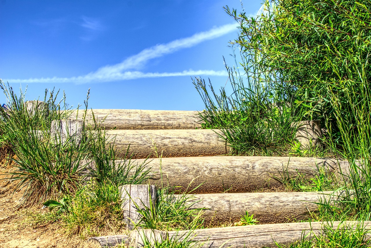 美盈森最新動態(tài)，創(chuàng)新發(fā)展的前沿引領(lǐng)者崛起。