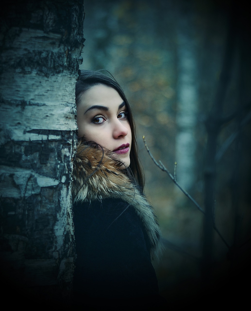 黑暗圣經(jīng)動漫的魅力與深度，在線觀看探索之旅