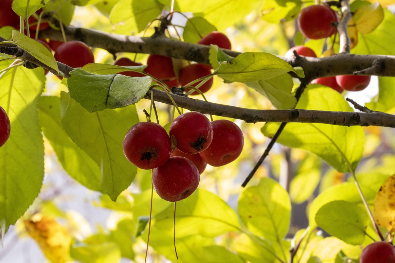 純白襯衫 第27頁(yè)