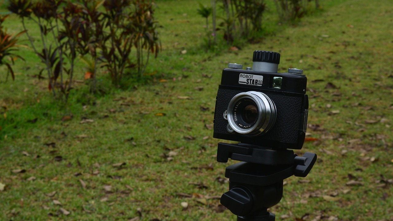 鄧文迪最新動態(tài)，持續(xù)閃耀的傳媒界之星