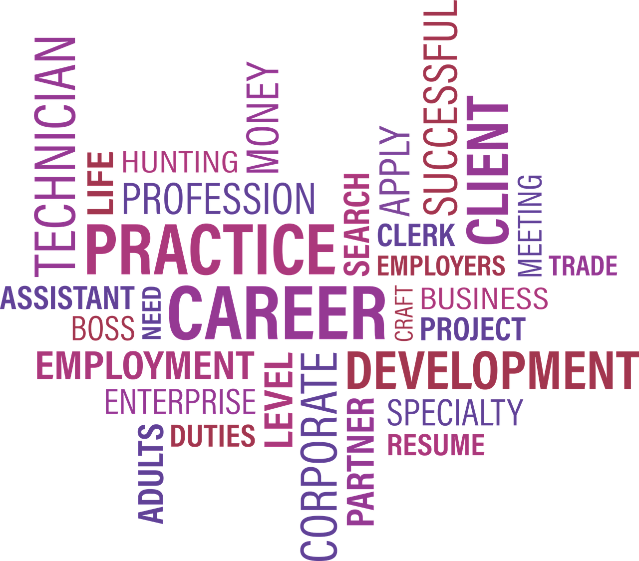 沈陽沈北最新職位招聘信息與行業(yè)趨勢深度解析