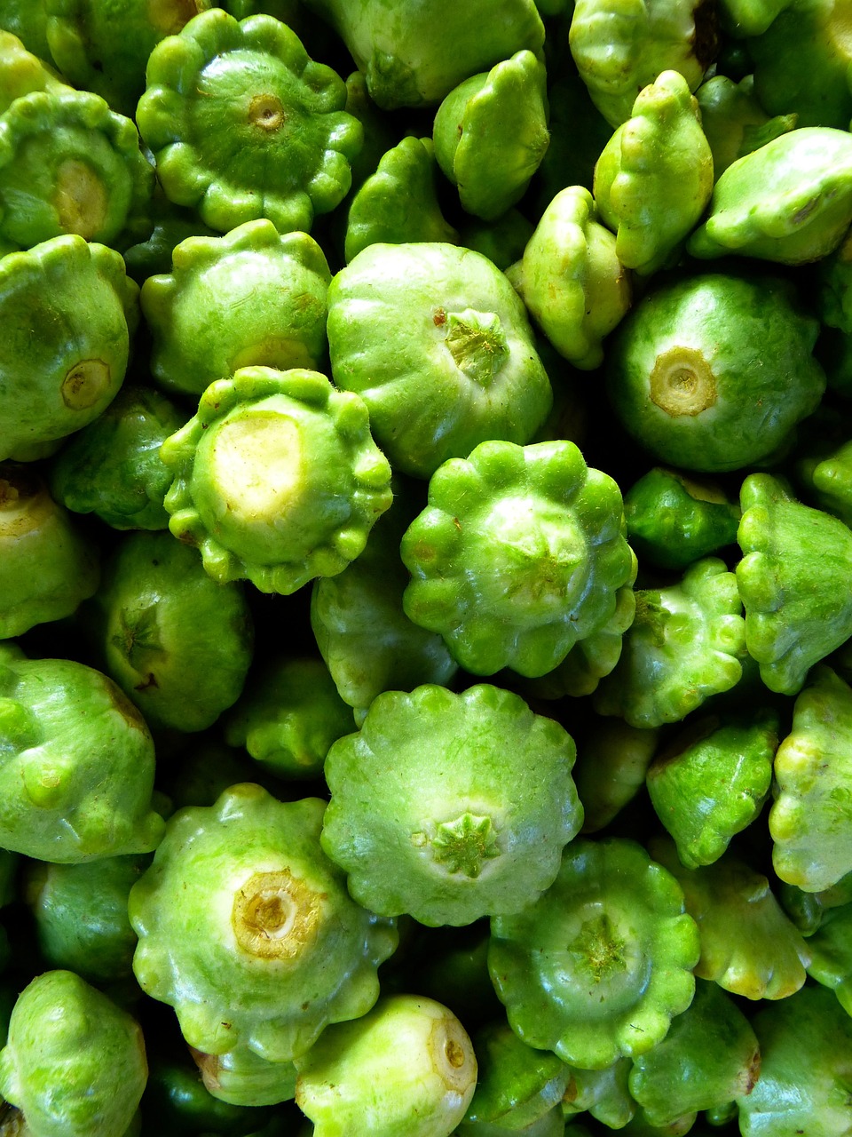 最新食用菌類，營養(yǎng)與健康的新選擇之道