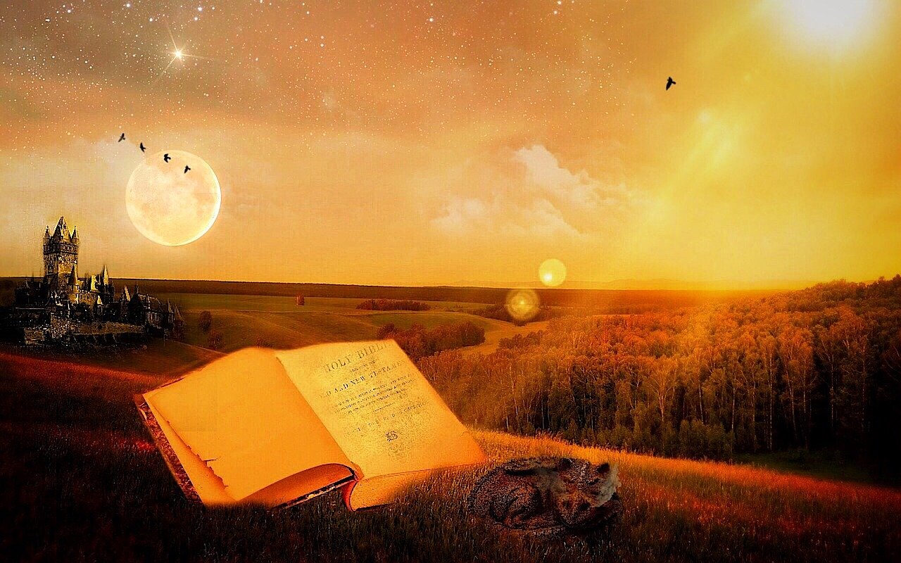 演藝之路的閃耀之星，演員夏宗佑的傳奇故事