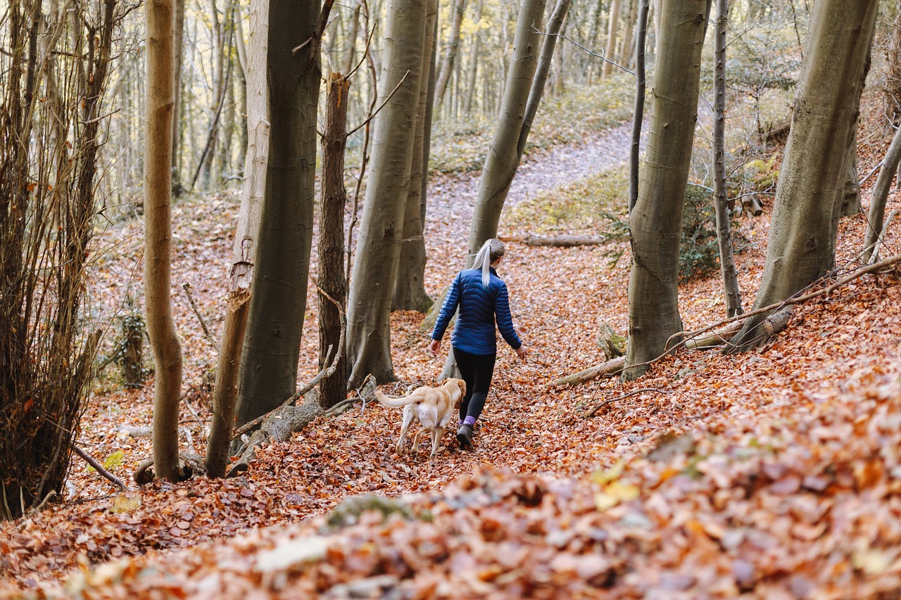 美錦集團資訊概覽，最新動態(tài)與資訊匯總