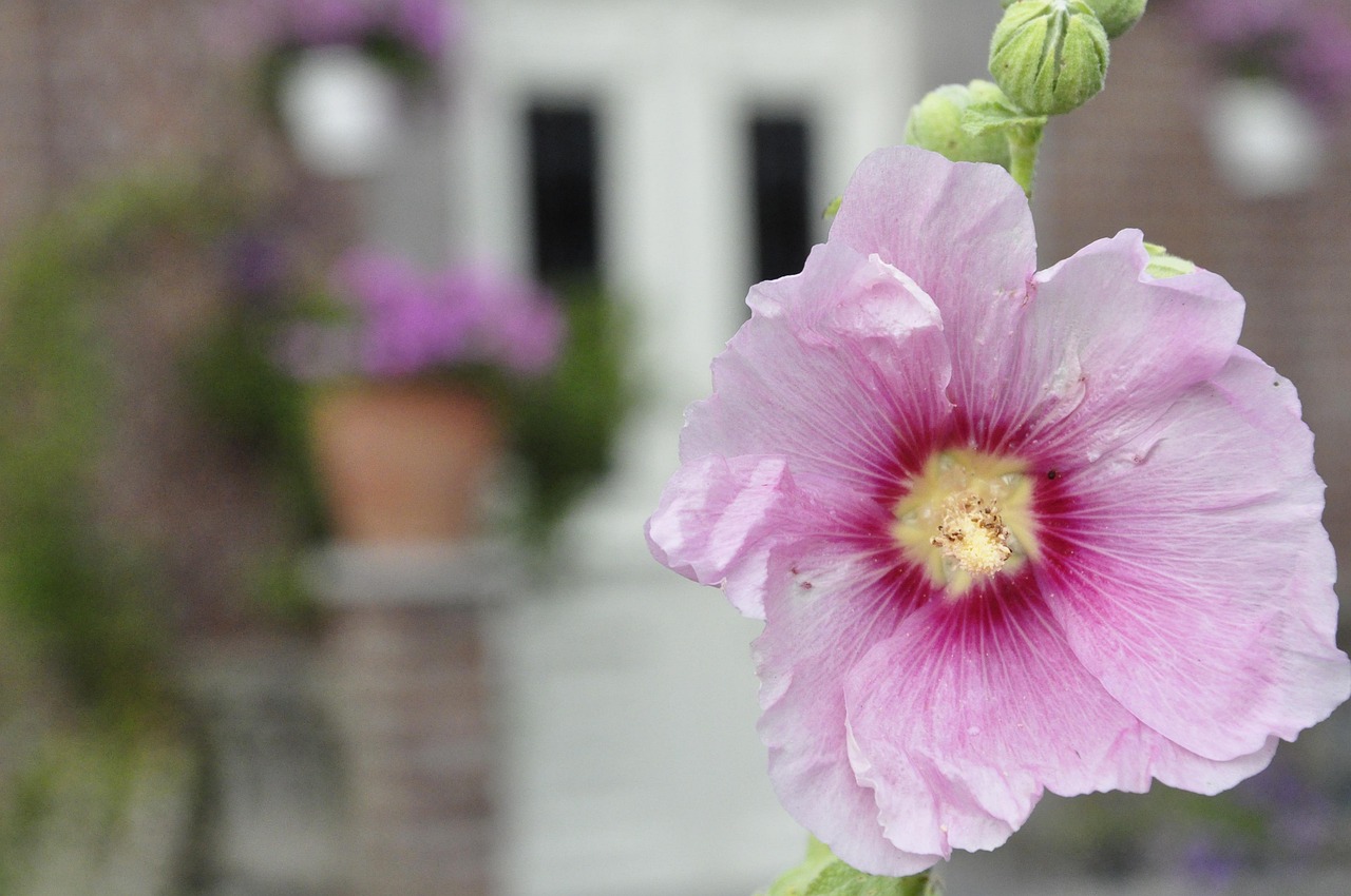 馬伊琍最新語(yǔ)錄，人生感悟與智慧分享
