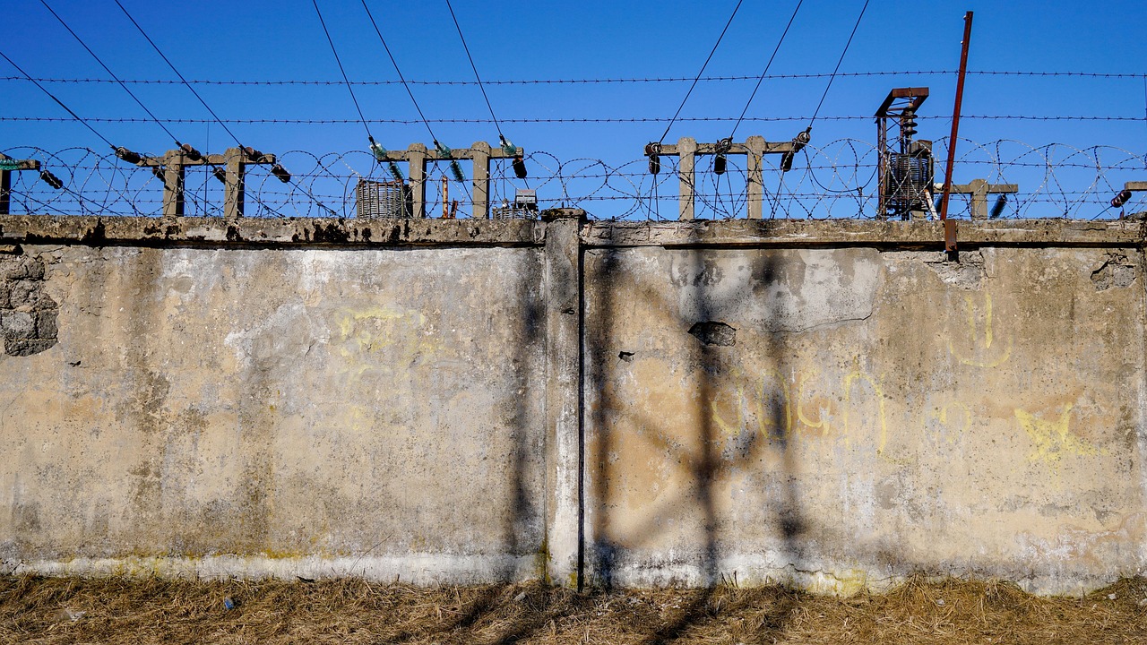 EFG集團引領(lǐng)行業(yè)變革，塑造未來藍圖，最新動態(tài)揭秘