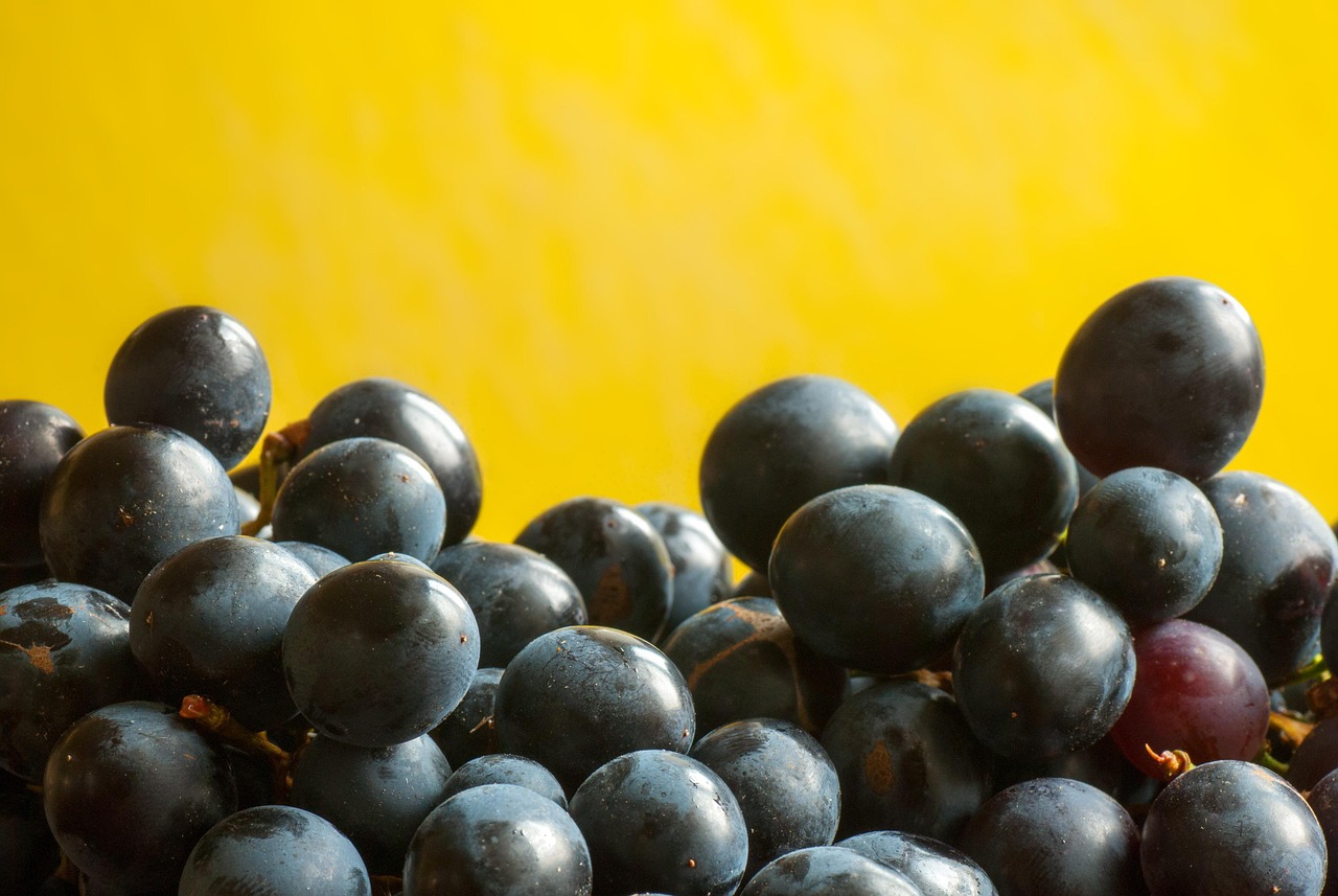 美原油最新動(dòng)態(tài)及市場(chǎng)走勢(shì)分析與展望