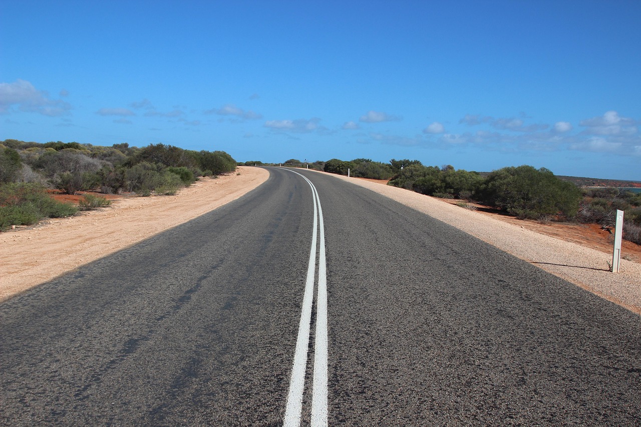 楊蔥龍最新動態(tài)揭秘，探索未知，持續(xù)前行之路