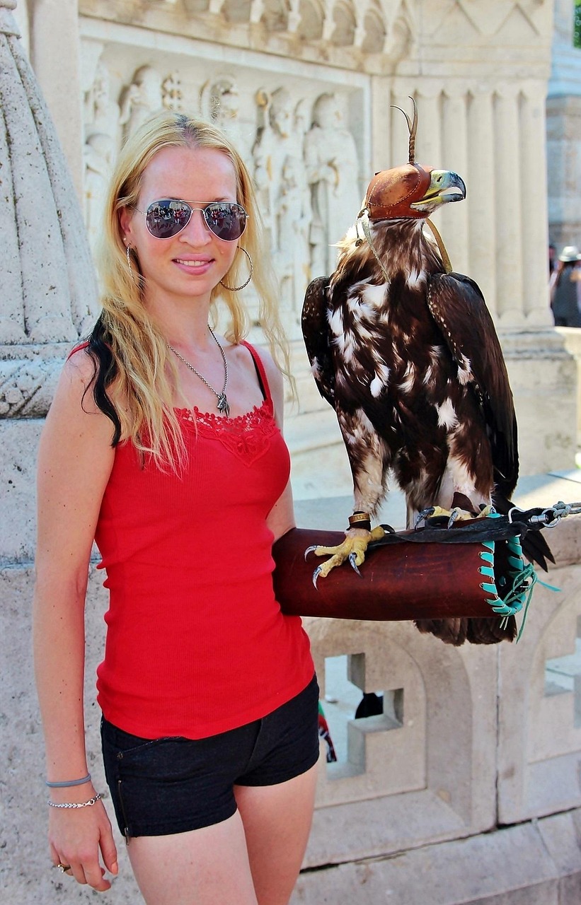 亞洲最新疫情動(dòng)態(tài)，挑戰(zhàn)、應(yīng)對(duì)策略全面解析