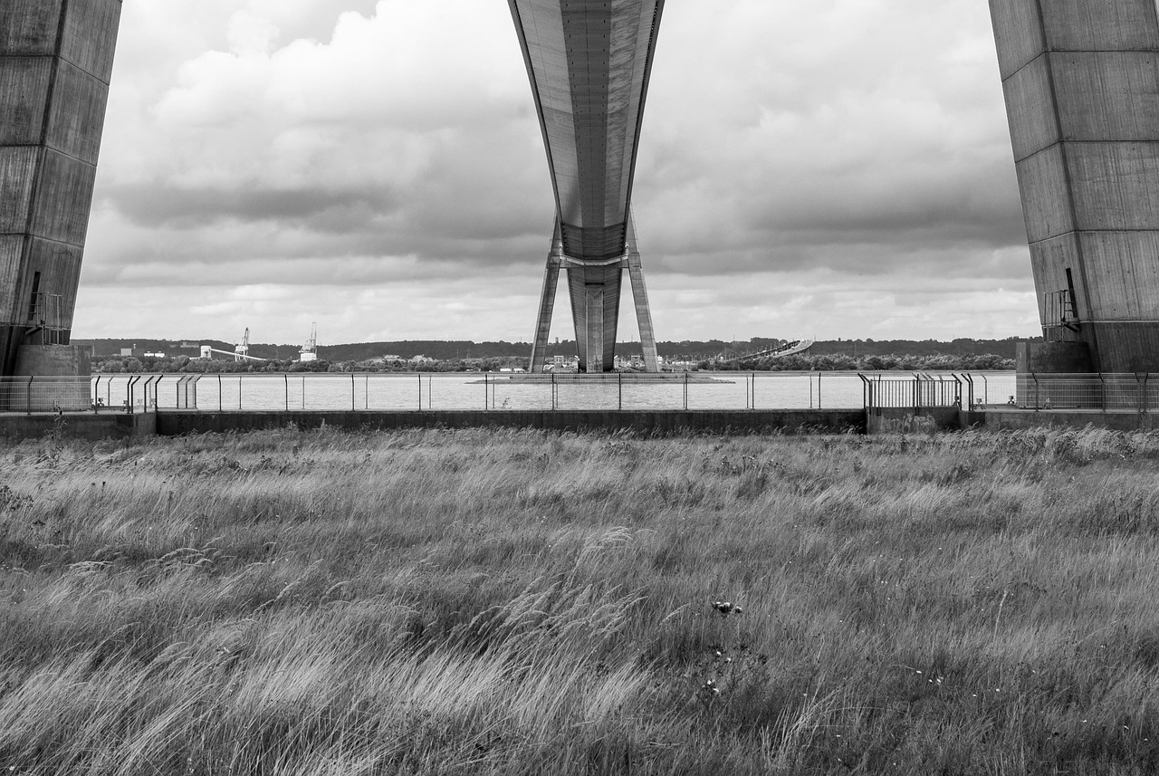 書信繪畫比賽，心靈的藝術(shù)盛宴，連接心靈的橋梁