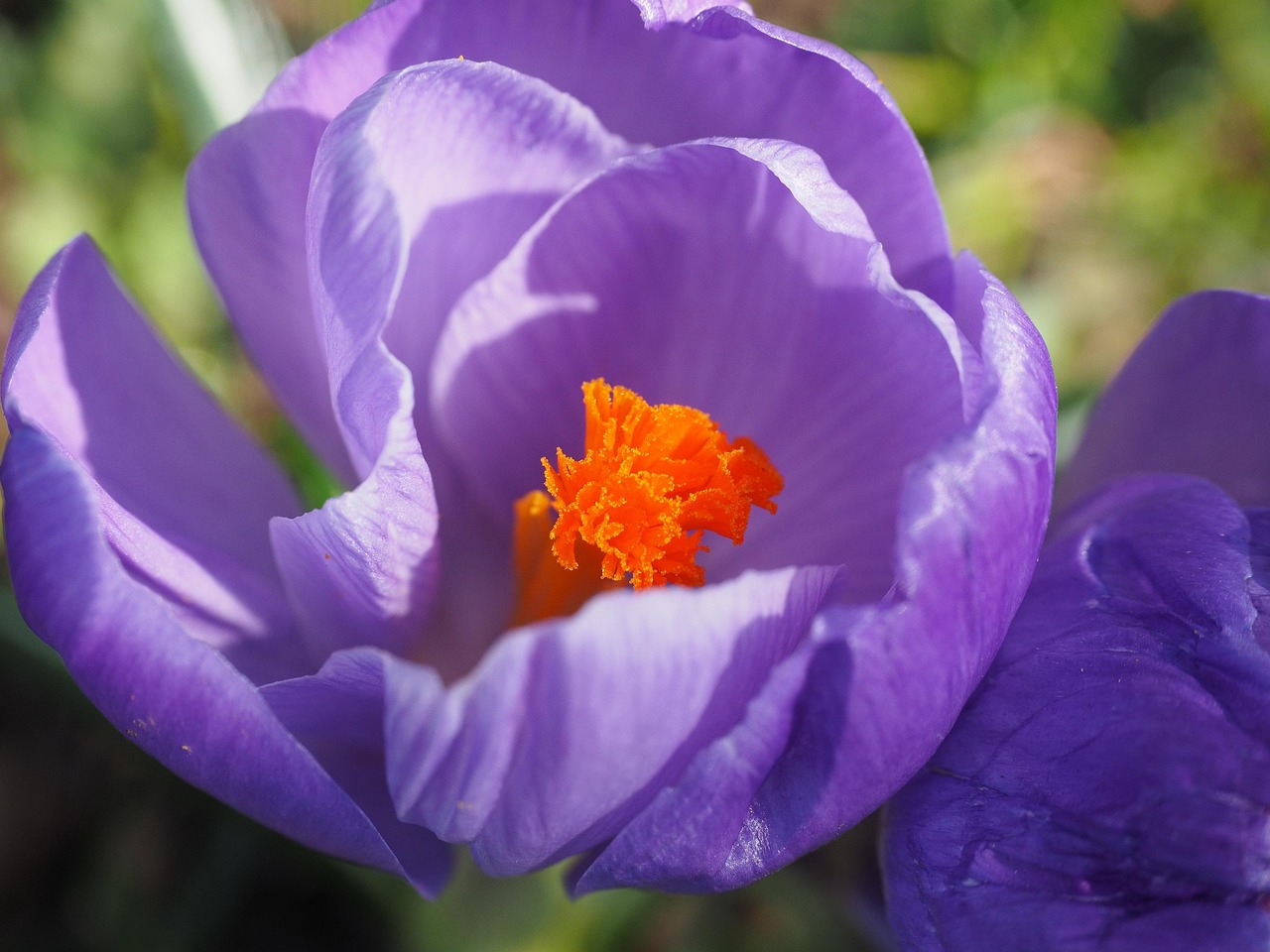 艾滋病最新研究動態(tài)與進(jìn)展概覽