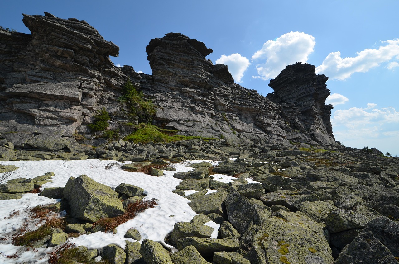 朝美最新動態(tài)，持續(xù)觀察與深度分析