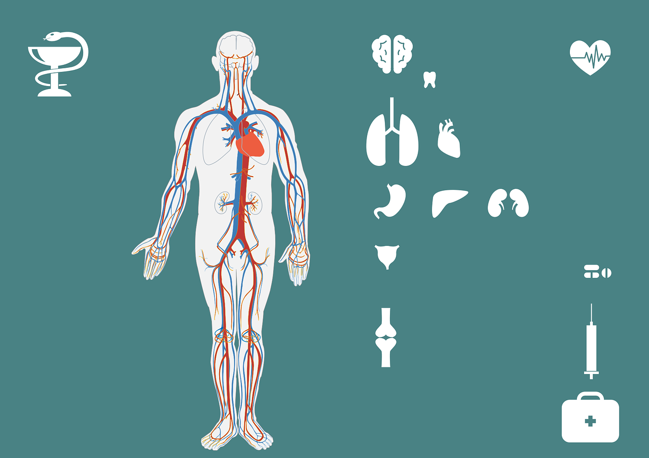 半月板再生技術(shù)獲重大突破，重塑關(guān)節(jié)健康的新希望