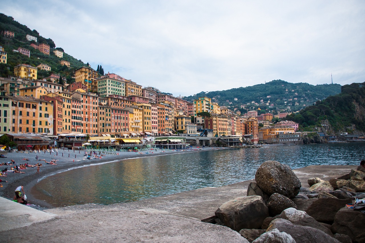 今日韭菜價(jià)格行情解析，洞悉市場(chǎng)動(dòng)態(tài)，把握價(jià)格走勢(shì)