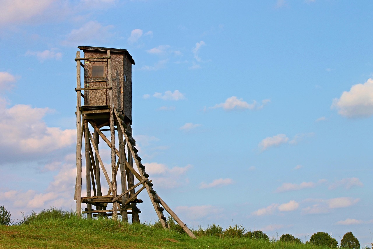 東珠景觀上市價(jià)格，市場(chǎng)分析、展望與探究