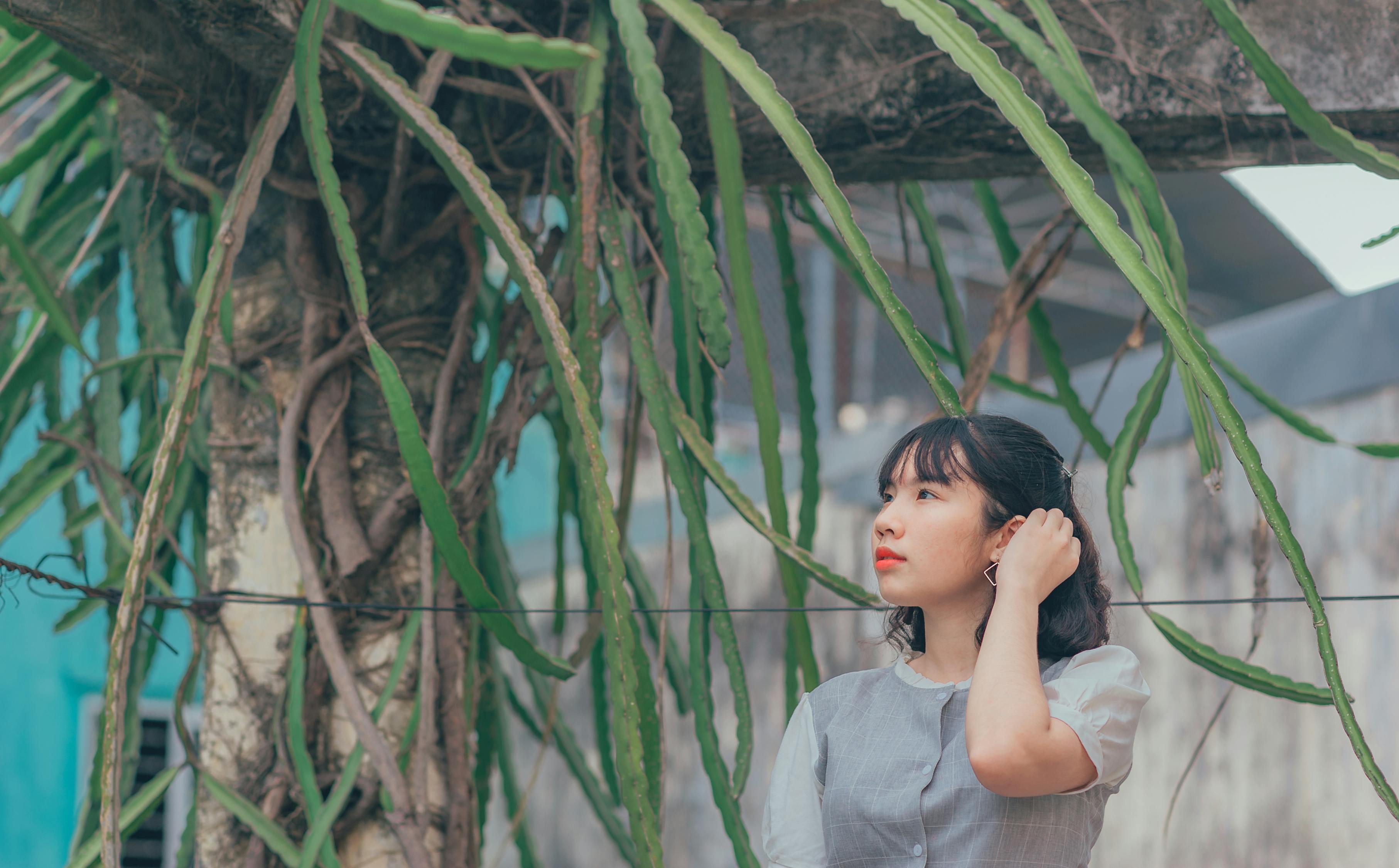 鄧超與孫儷，電視劇中的耀眼之星。