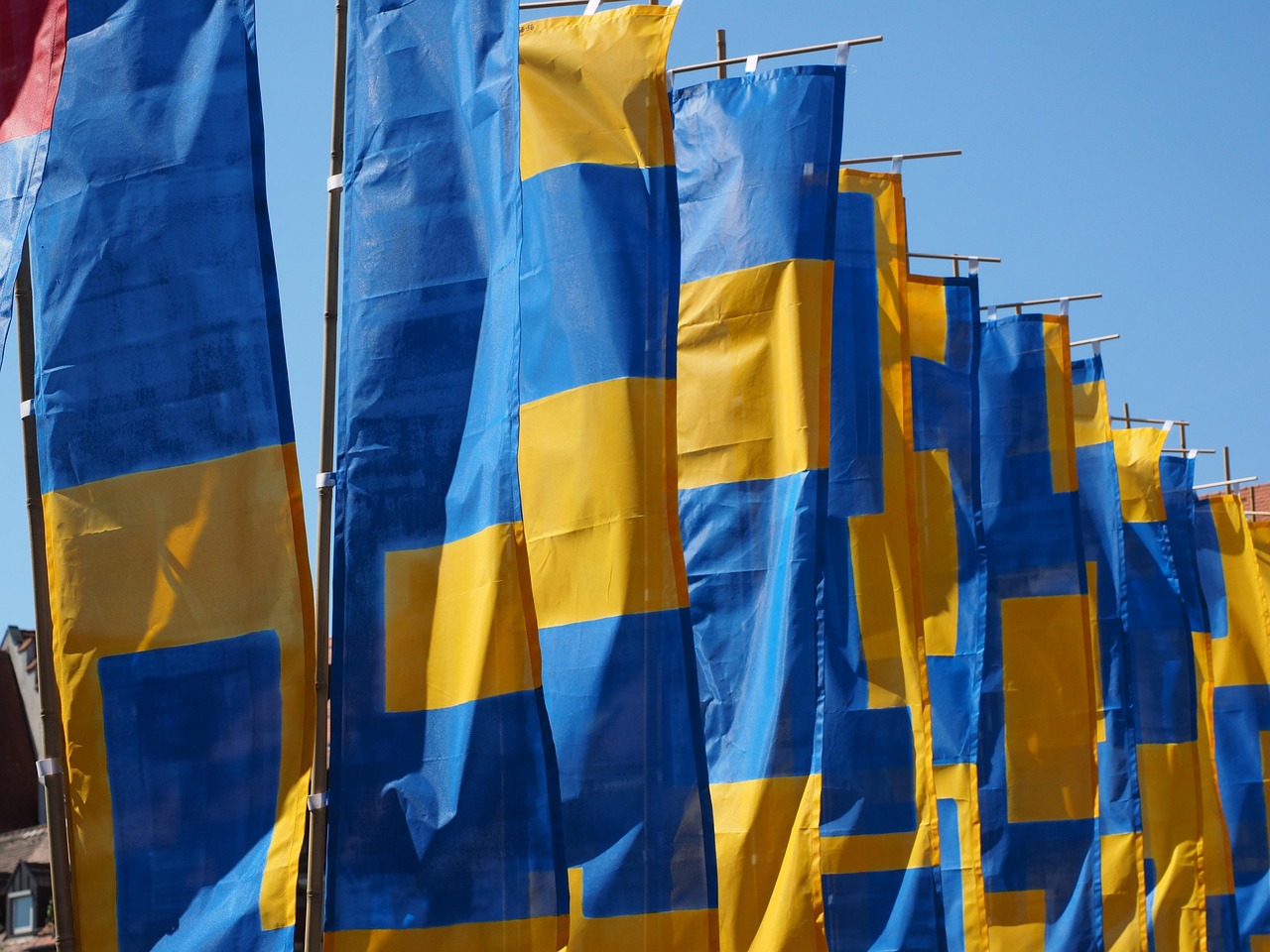 宅宅網(wǎng)最新資訊概覽，一網(wǎng)打盡最新動(dòng)態(tài)與資訊分享