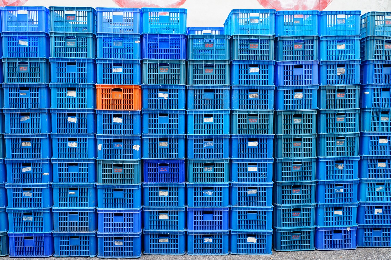 澤尼特最新動(dòng)態(tài)，引領(lǐng)科技前沿，展現(xiàn)創(chuàng)新實(shí)力