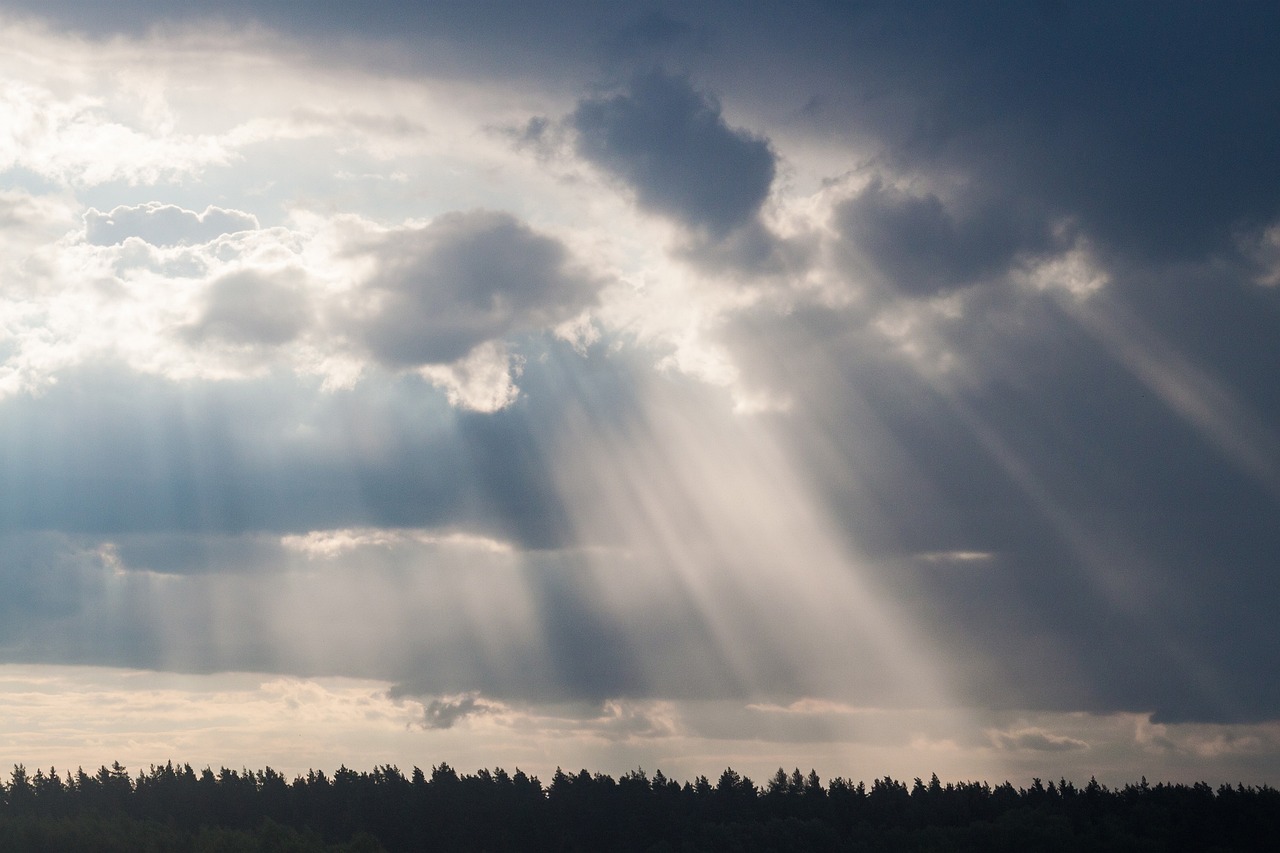 屬鼠明星的魅力閃耀，星光熠熠的明星群像
