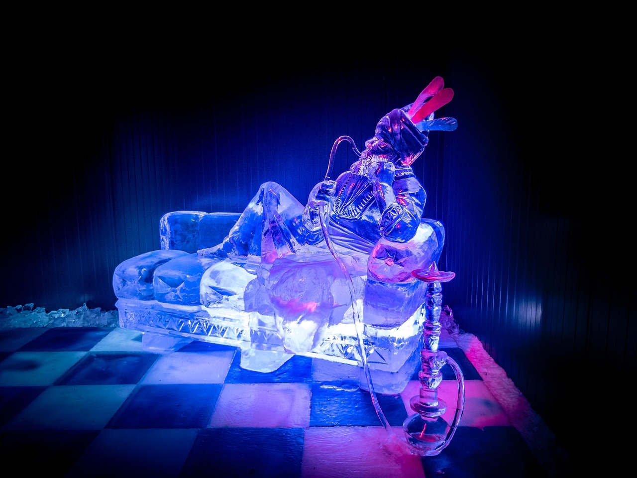 麥嘉最新動態(tài)，邁向新時(shí)代的步伐與獨(dú)特風(fēng)采展示