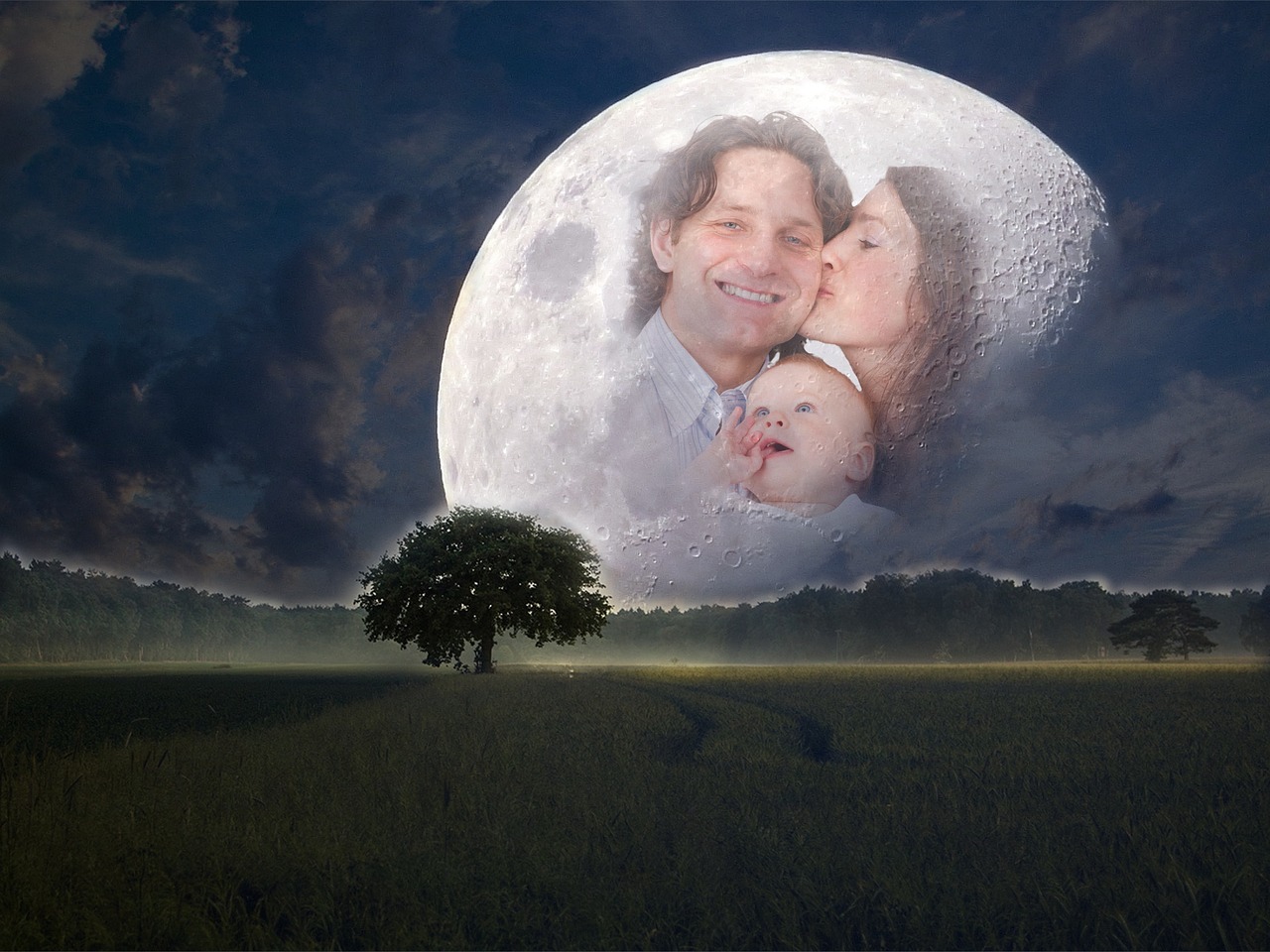 女明星的小說世界，虛構(gòu)與現(xiàn)實的魅力探索