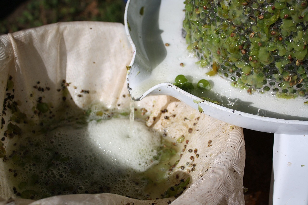 川菜大賽，技藝與激情的盛宴