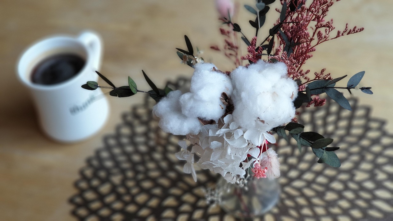 張金梅最新動(dòng)態(tài)，探索無(wú)限，綻放個(gè)人光彩