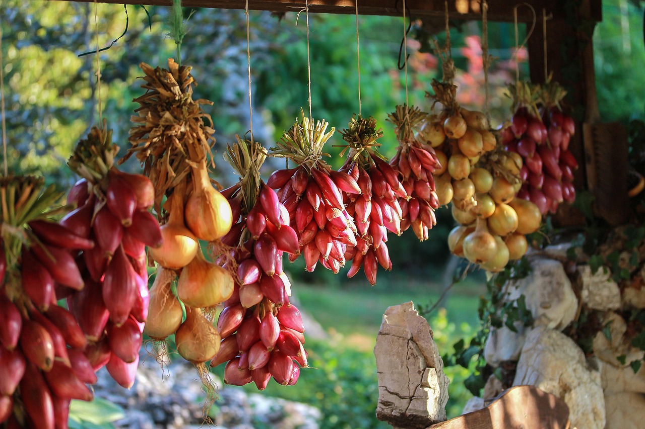 橋本有菜，最新動態(tài)揭秘，探索魅力無限的未知領(lǐng)域