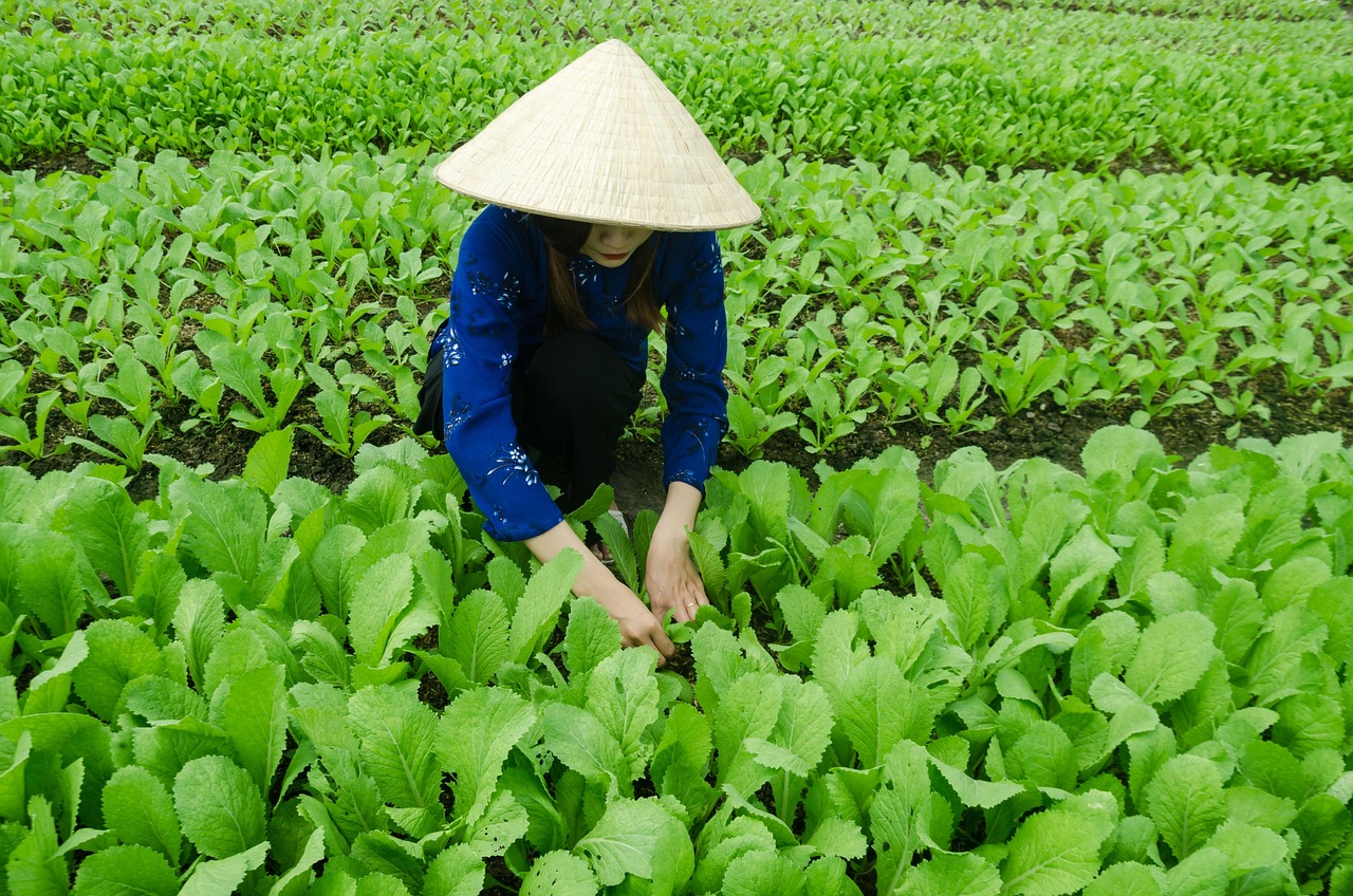 張晞臨最新動態(tài)，演藝事業(yè)蓬勃發(fā)展