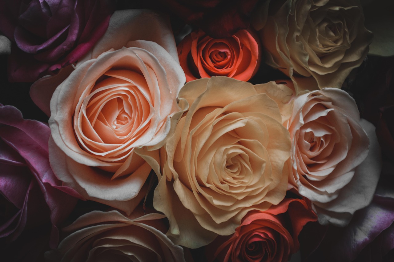 韓國電影我是陶器，深入人心的故事