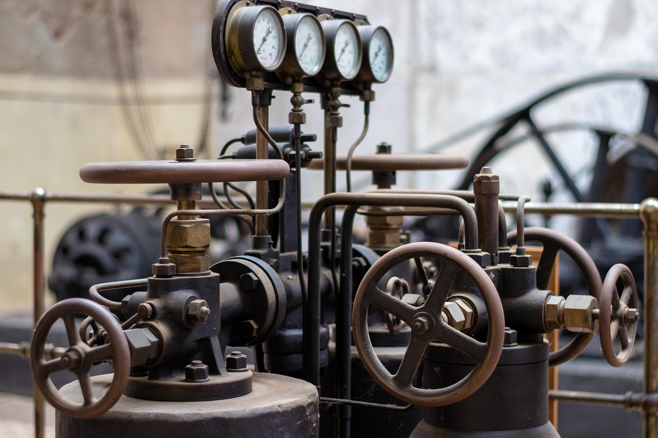 上海陳靖最新動態(tài)，揭開未來無限可能之門