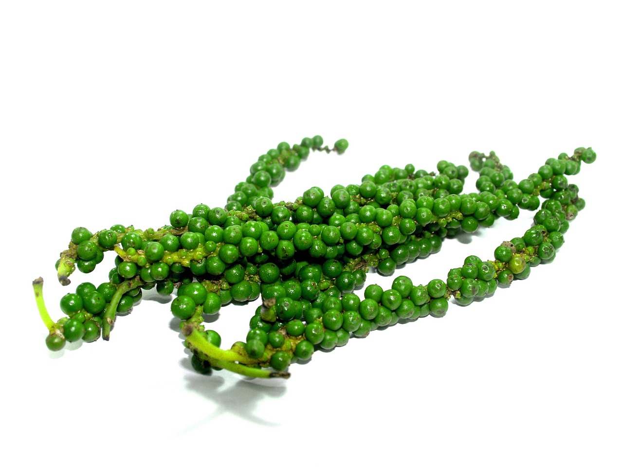 玉米豆粕行情分析與市場走勢預測