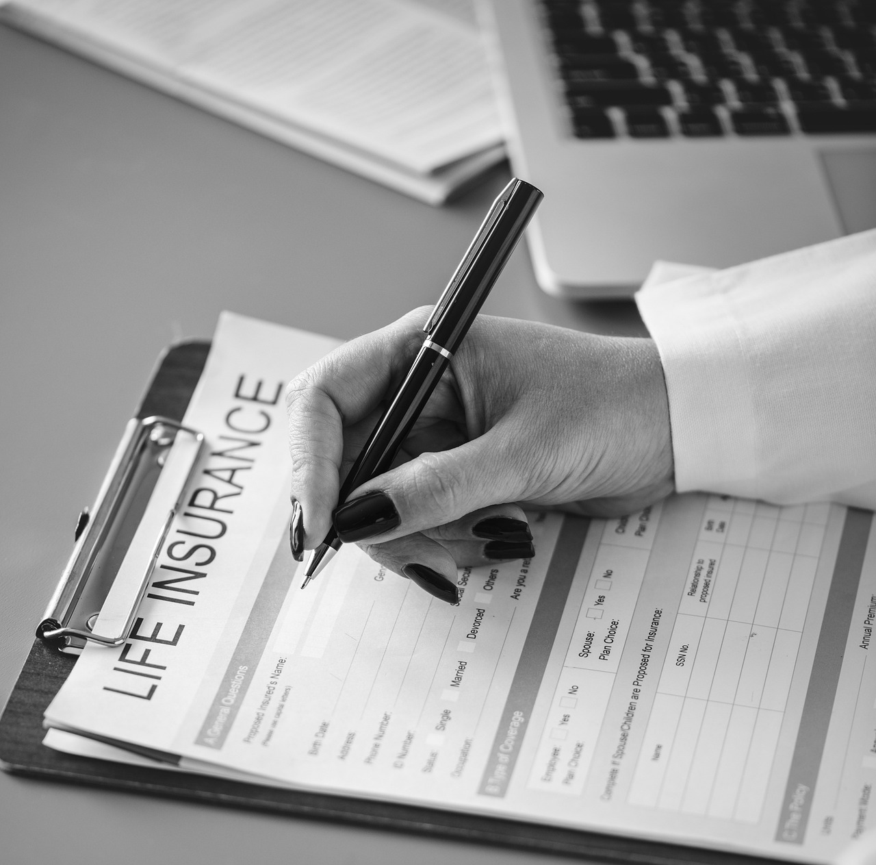 明星影響力與魅力的英語作文