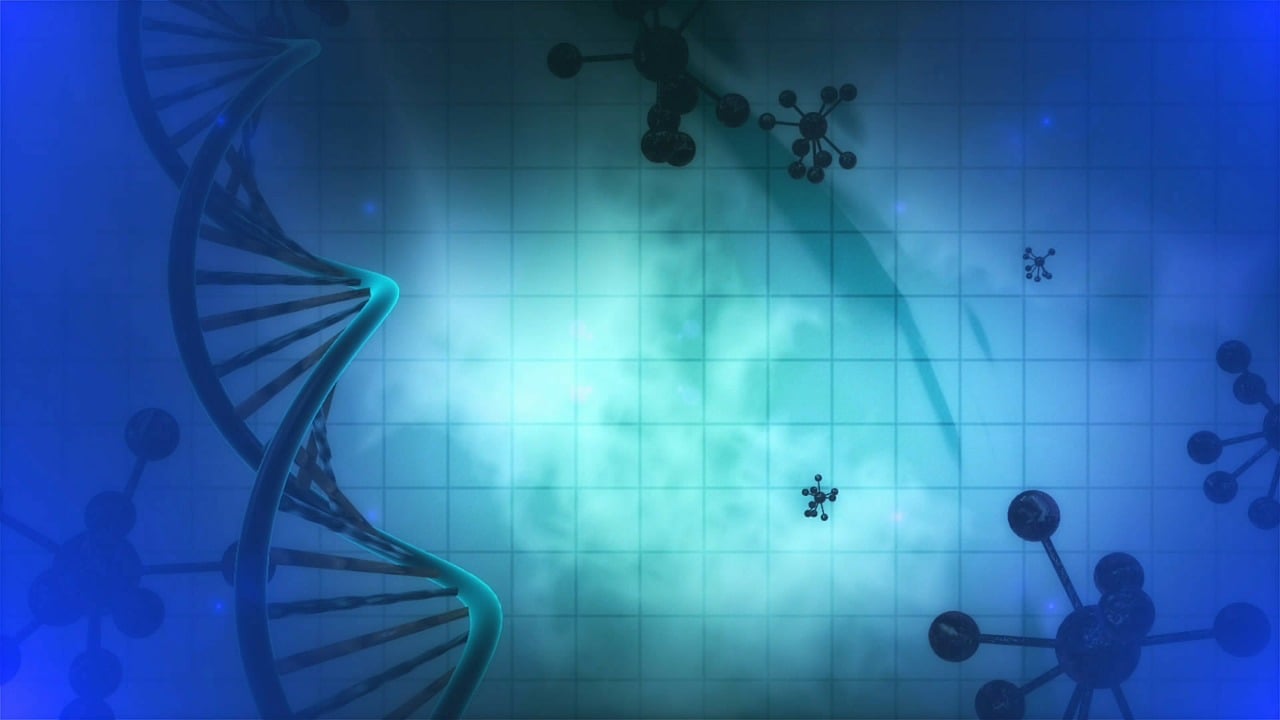 理論影片深度剖析與綜合研究匯總