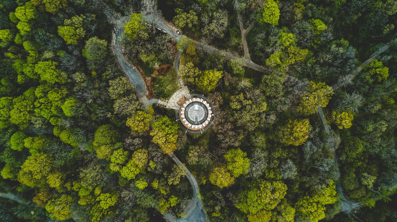 開縣三匯口鄉(xiāng)鄉(xiāng)村振興與社區(qū)發(fā)展步伐加速前行最新動(dòng)態(tài)