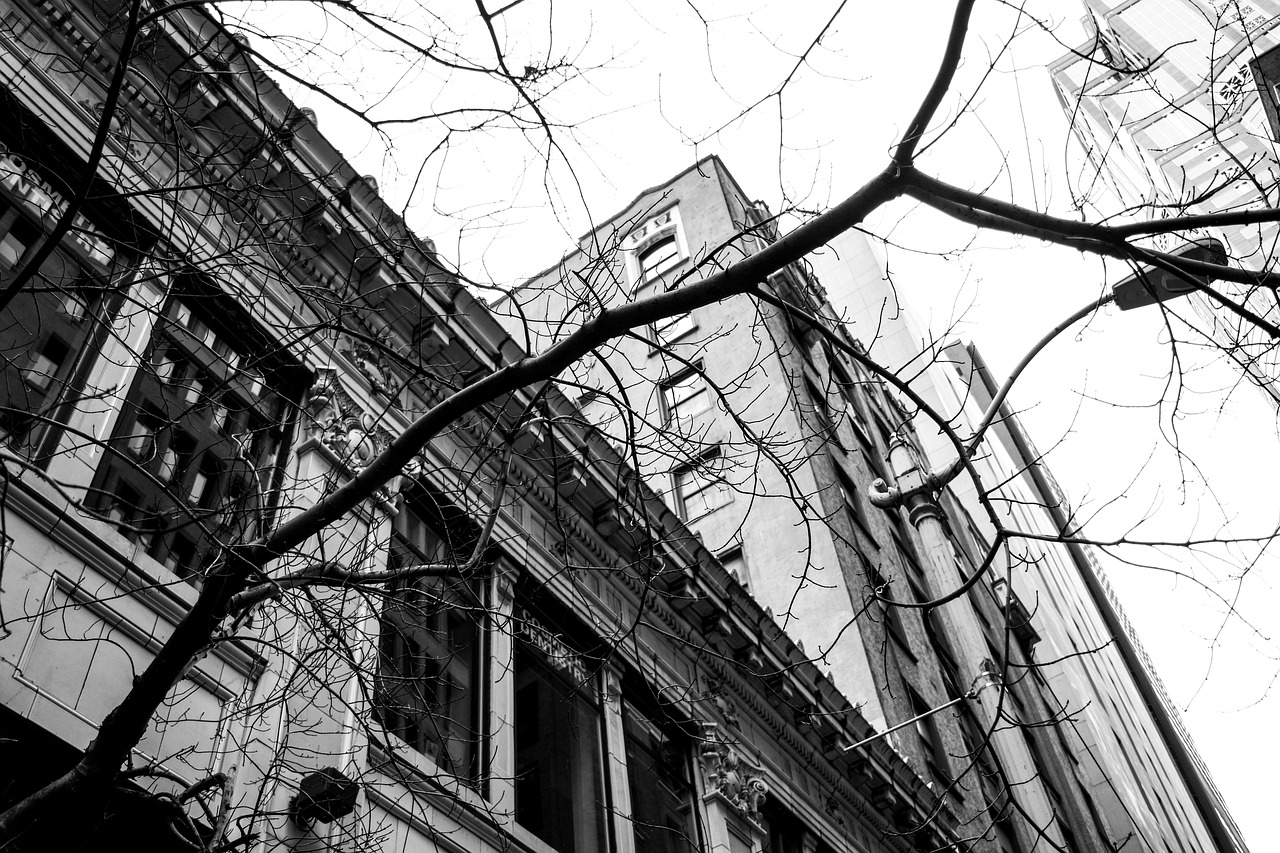 翔安中澳城項目最新動態(tài)，推動城市發(fā)展的強(qiáng)大引擎持續(xù)進(jìn)展中