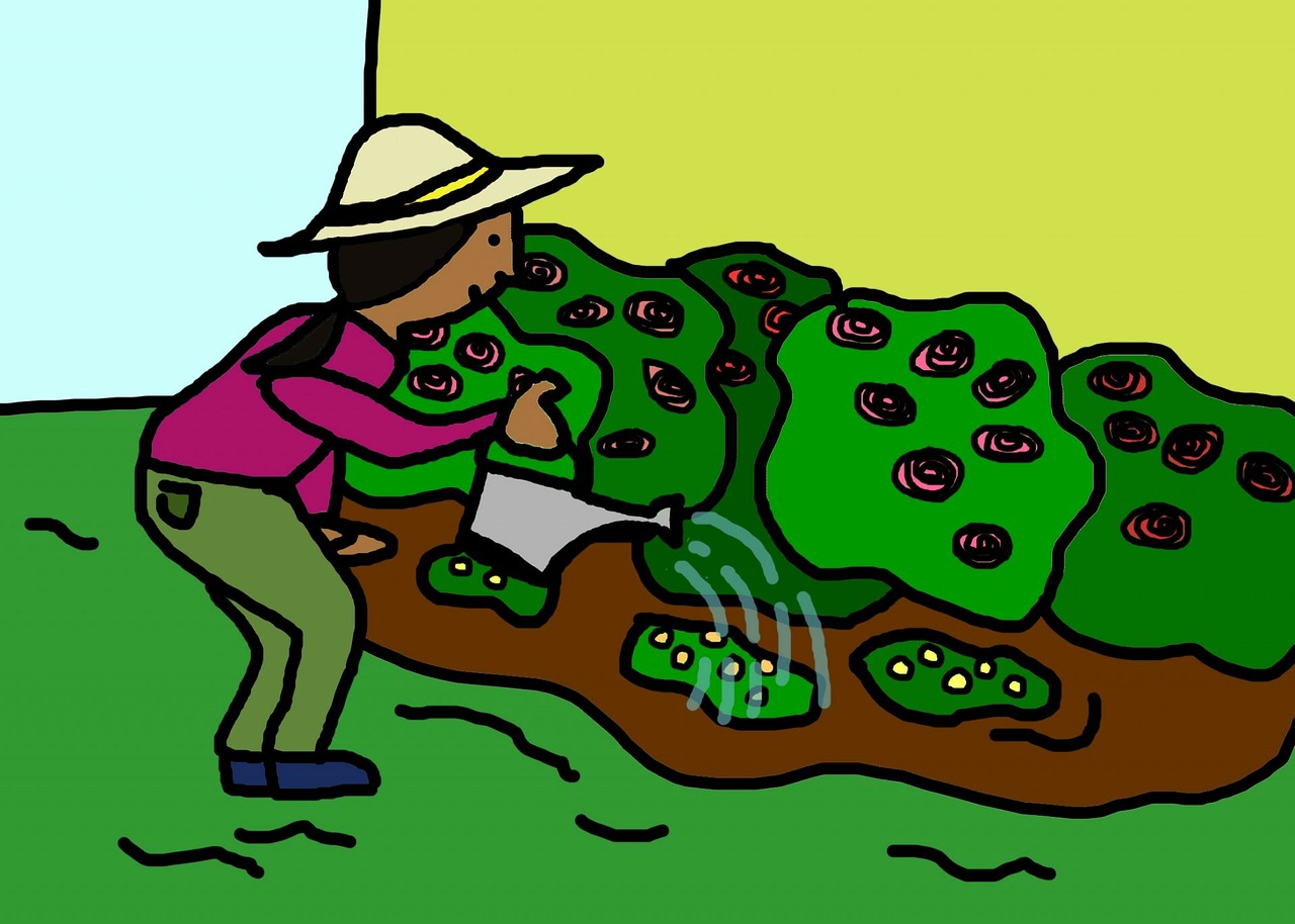 花蛇動(dòng)漫，探索魅力與深遠(yuǎn)影響