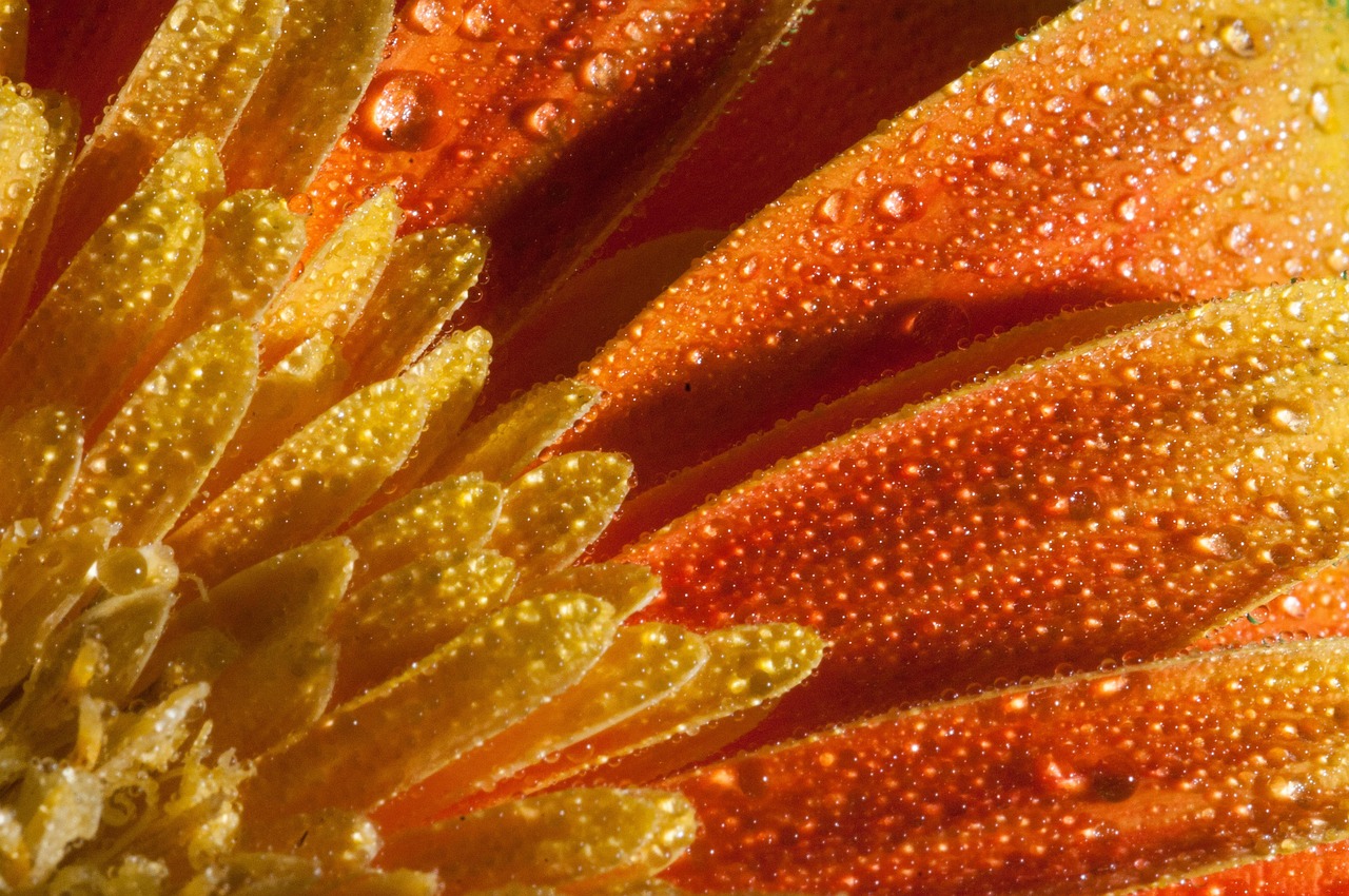 市最新動(dòng)態(tài)，創(chuàng)新發(fā)展的繁榮篇章揭秘！