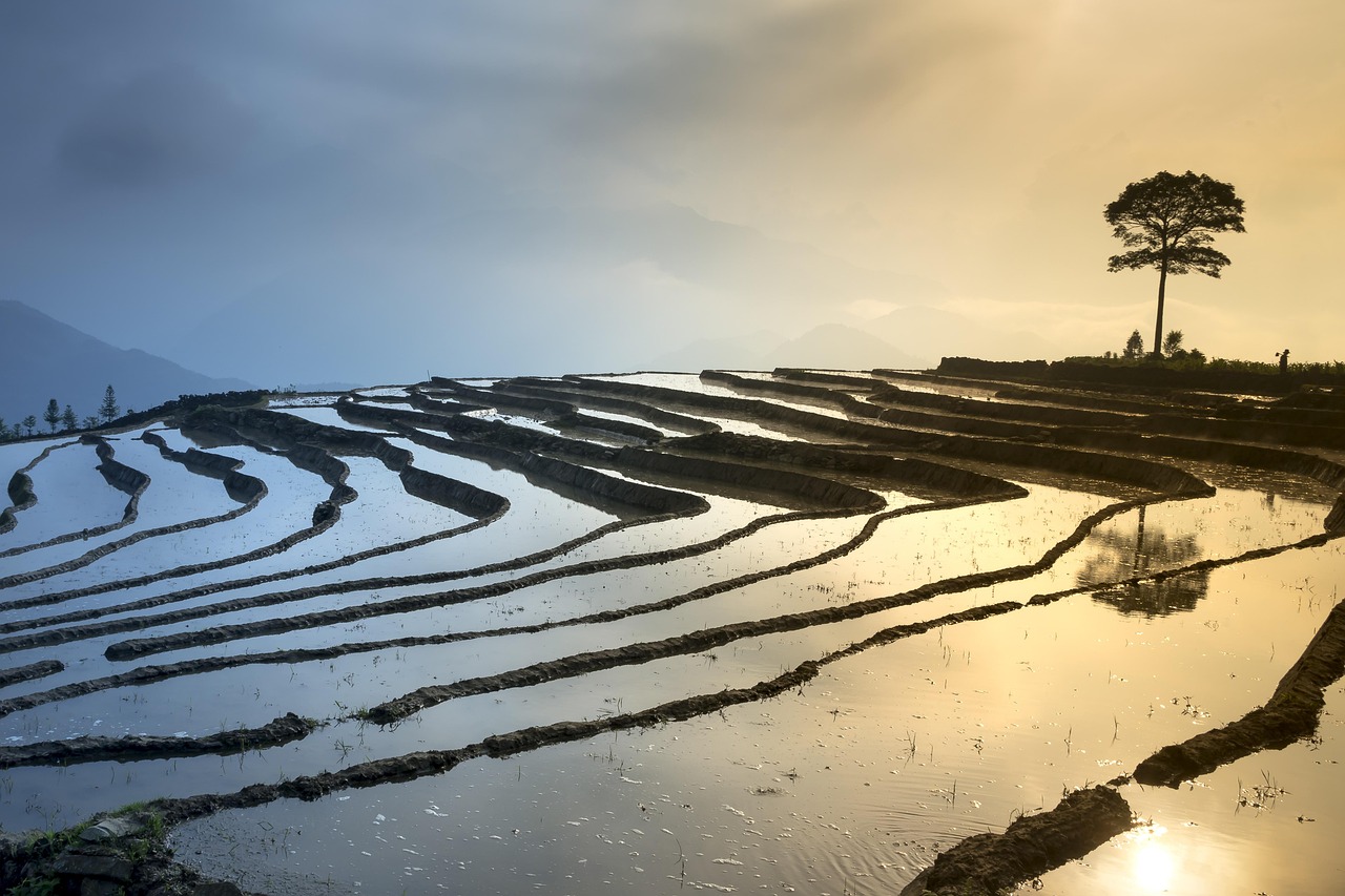 西山區(qū)草海最新規(guī)劃揭曉，描繪未來生態(tài)繁榮藍(lán)圖
