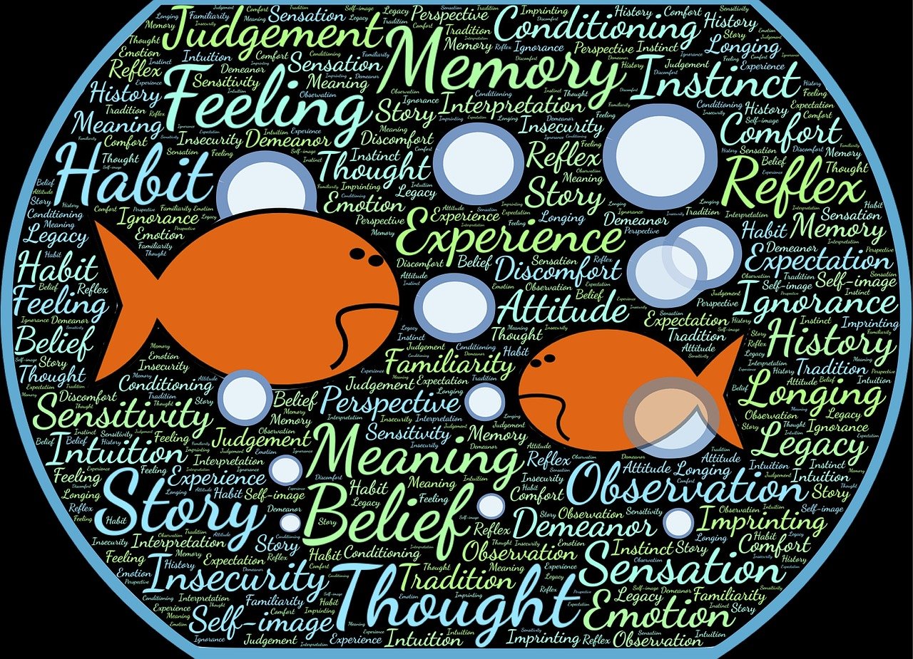 中國票房第一的電影背后的故事與啟示，啟示錄與成功之道