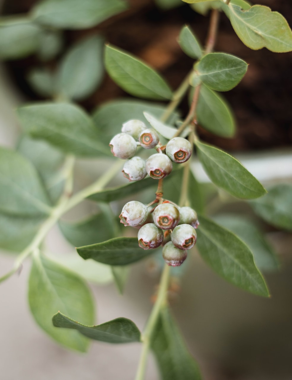 探索時尚、技術與藝術的融合，2017最新動態(tài)圖片大盤點